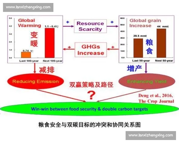 基于数据驱动的体育团队效率提升策略与协同优化路径研究体系构建与实践